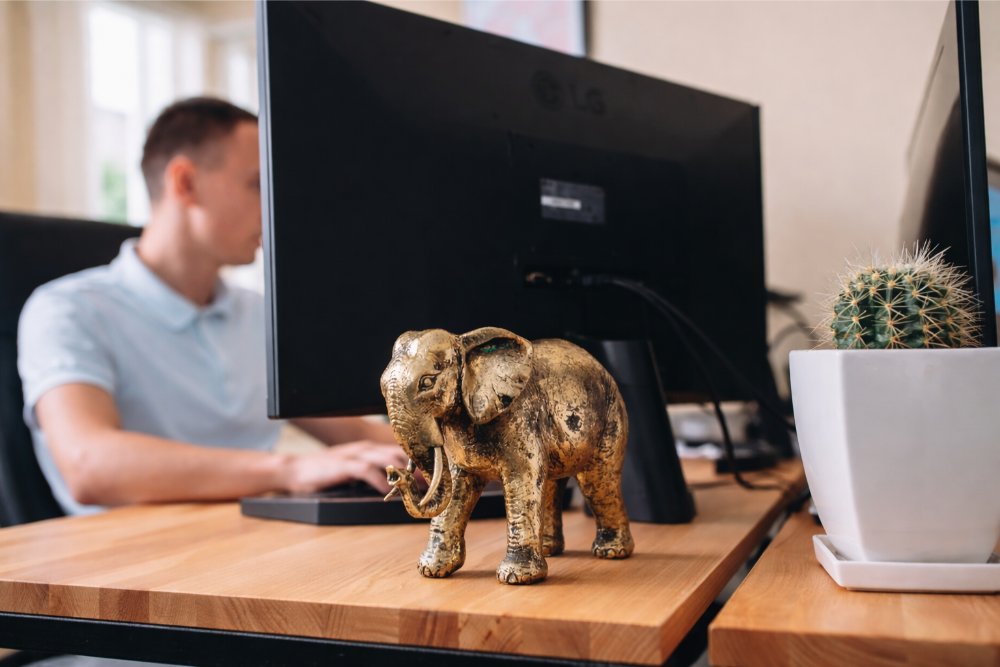 Чому бізнесу варто інвестувати у професійну розробку програмних рішень